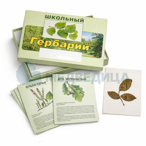 Комплект гербариев демонстрационных